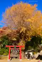 雷神社(神奈川県)