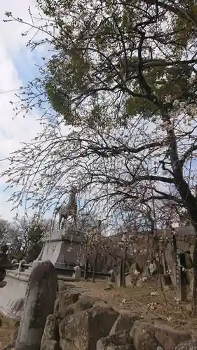 岡崎天満宮の自然