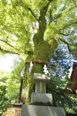 武田神社(山梨県)