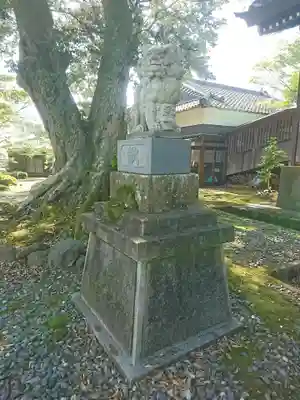 愛宕神社の狛犬