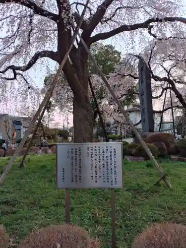 東郷寺(東京都)