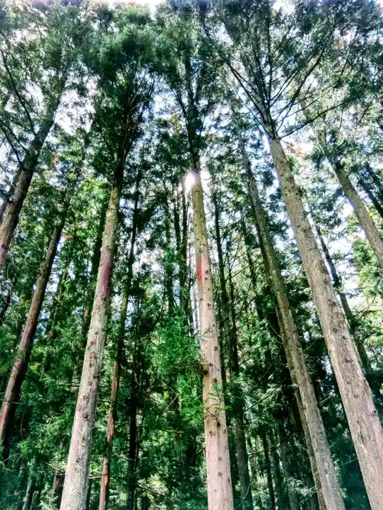 荒人神社・清神社(福島県)