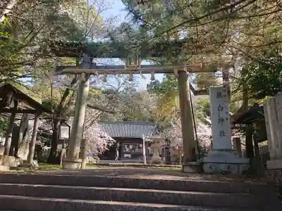 藤白神社の鳥居