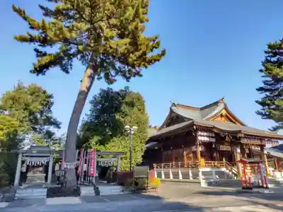 中野沼袋氷川神社の本殿・本堂