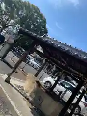 児玉神社の手水