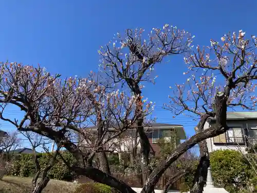 宝前院(神奈川県)