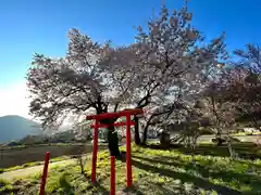 天神宮(伝河原氏屋敷跡)の自然