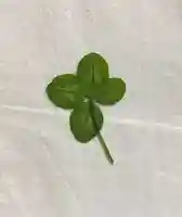 龍光大神(長崎県)