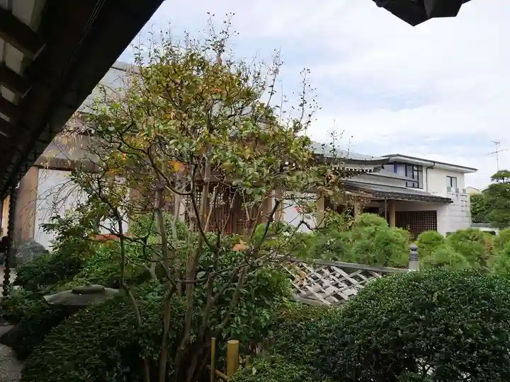 常在寺のその他建物