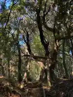小川神社の鳥居