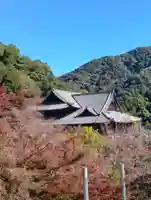 長谷寺(奈良県)