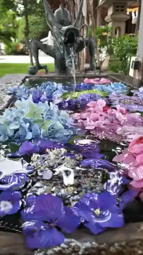 西野神社の手水