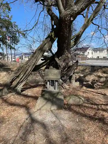 諏訪大社上社前宮(長野県)