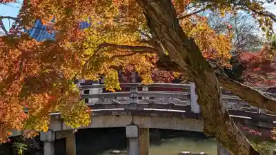 くろ谷 金戒光明寺(京都府)