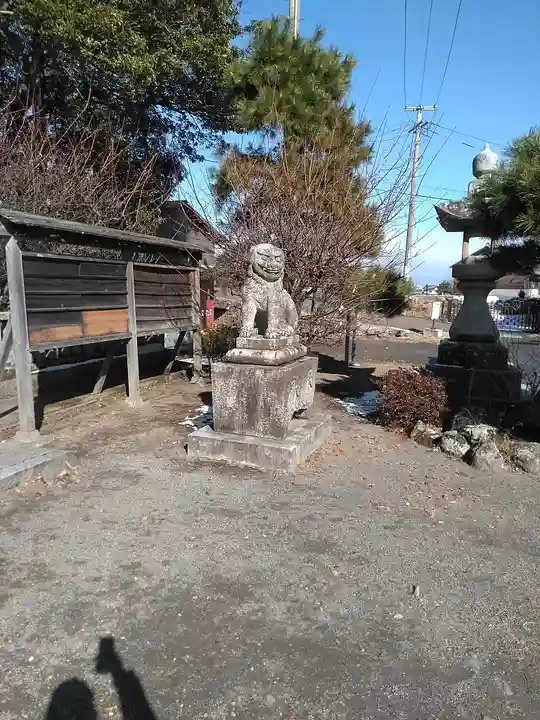 中津神社の狛犬