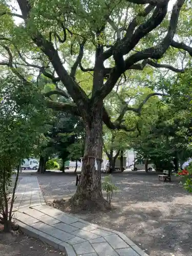 津嶋神社(香川県)