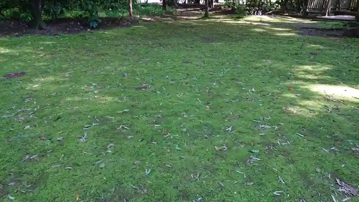 鹿島神宮の自然