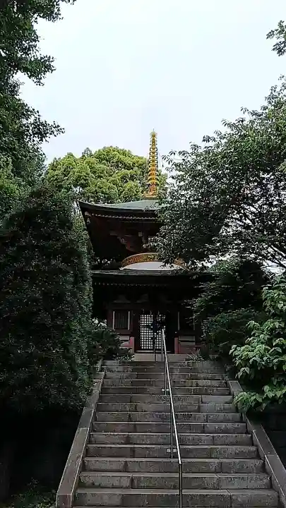 興禅寺の{uncategorized: "未分類", other: "その他", undefined: "問題あり", building: "その他建物", grave: "お墓", sacred_gate: "鳥居", guardian: "狛犬", statue: "像", buddha: "仏像", history: "歴史", nature: "自然", garden: "庭園", animal: "動物", pagoda: "塔", temizu: "手水舎", mountain_gate: "山門・神門", sanctuary: "本殿・本堂", subordinate: "末社・摂社", art: "芸術", scenery: "景色", jizo: "地蔵", ema: "絵馬", goshuin: "御朱印", omikuji: "おみくじ", items: "授与品その他", amulet: "お守り", goshuincho: "御朱印帳", eats: "食事", festival: "お祭り", votive_dance: "神楽", shichigosan: "七五三参", wedding: "結婚式", experience: "体験その他", initially: "初詣", around: "周辺", anti_infection: "感染症対策"}