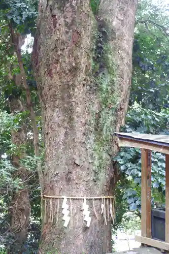 久能山東照宮(静岡県)