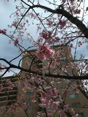 宮代神社(東京都)
