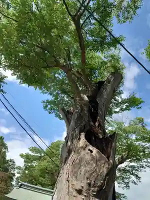 生島足島神社(長野県)
