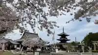 餘慶寺(岡山県)
