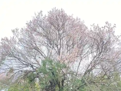 蓮蔵寺(福島県)