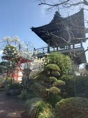 乗蓮寺のその他建物