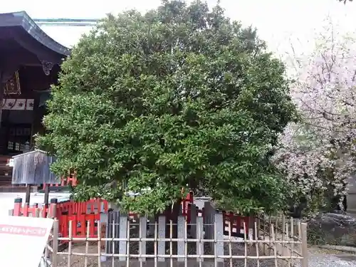城山八幡宮のその他建物