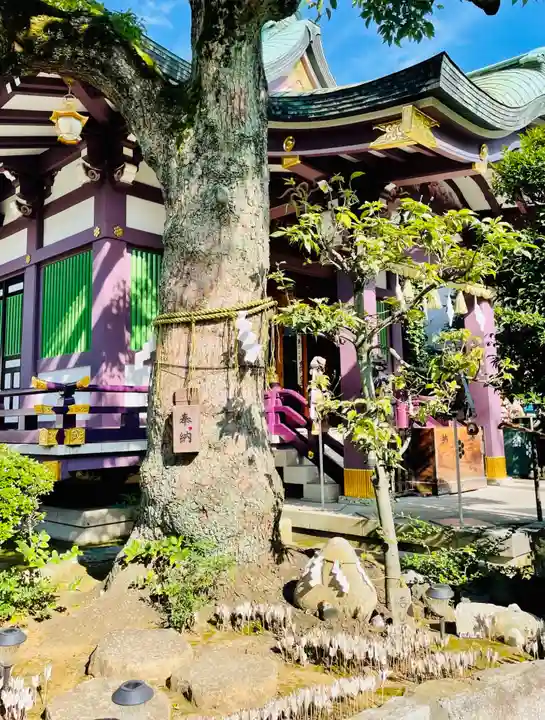 高木神社の自然