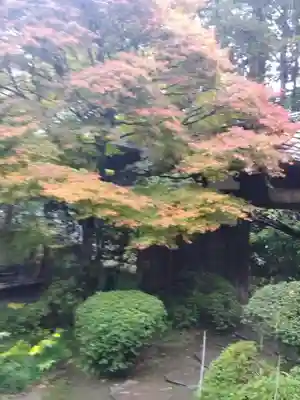 瑞鳳殿(宮城県)