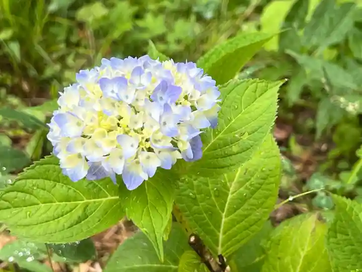 国宝 大法寺(長野県)