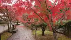 観音寺(岡山県)