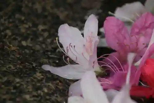 田村神社の手水