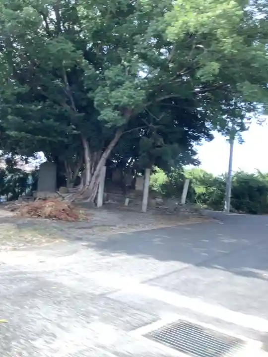 御嶽神社の自然