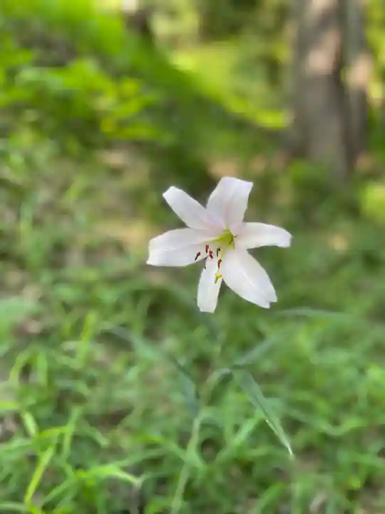 弘川寺(大阪府)