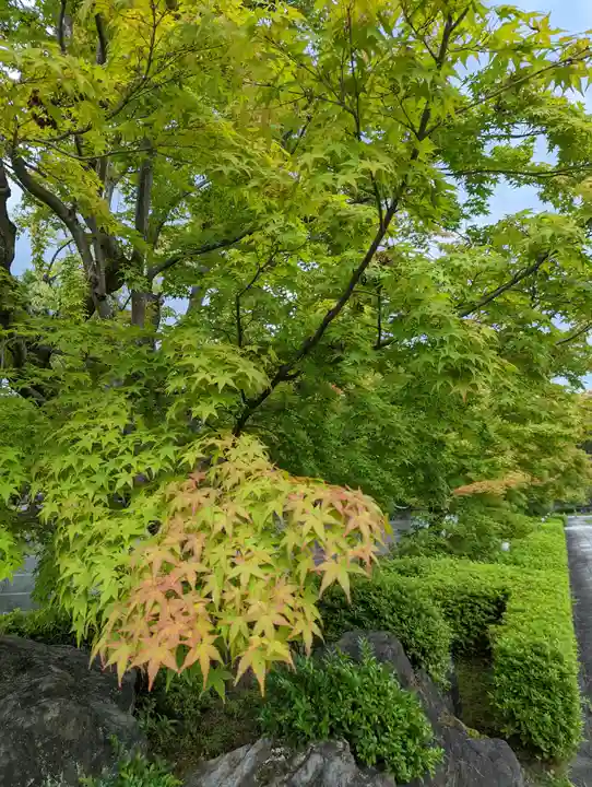 妙満寺(京都府)