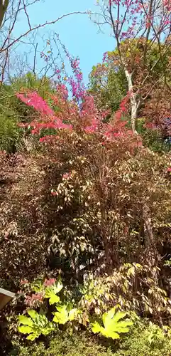 検見川神社の自然
