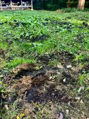 蚊里田八幡宮(長野県)