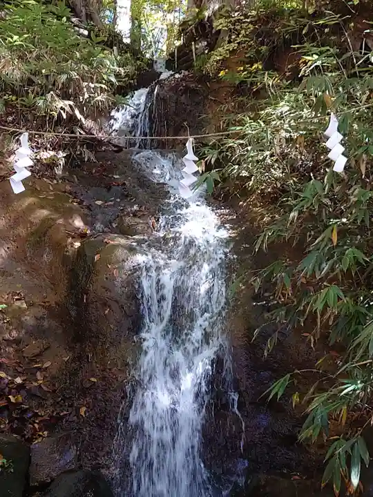 戸隠神社中社(長野県)