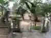 沢田八幡神社の{uncategorized: "未分類", other: "その他", undefined: "問題あり", building: "その他建物", grave: "お墓", sacred_gate: "鳥居", guardian: "狛犬", statue: "像", buddha: "仏像", history: "歴史", nature: "自然", garden: "庭園", animal: "動物", pagoda: "塔", temizu: "手水舎", mountain_gate: "山門・神門", sanctuary: "本殿・本堂", subordinate: "末社・摂社", art: "芸術", scenery: "景色", jizo: "地蔵", ema: "絵馬", goshuin: "御朱印", omikuji: "おみくじ", items: "授与品その他", amulet: "お守り", goshuincho: "御朱印帳", eats: "食事", festival: "お祭り", votive_dance: "神楽", shichigosan: "七五三参", wedding: "結婚式", experience: "体験その他", initially: "初詣", around: "周辺", anti_infection: "感染症対策"}