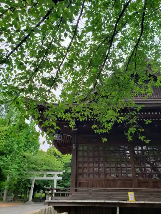 熊野神社(東京都)