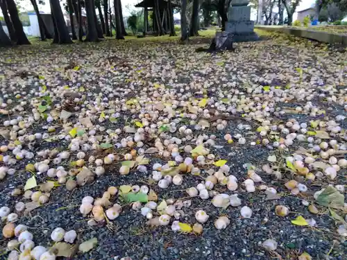 五社神社(滋賀県)
