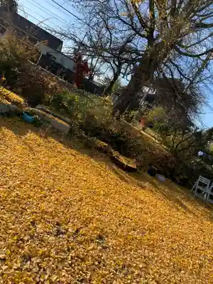 出雲大社会津分霊社のその他建物