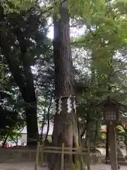 石上神宮(奈良県)