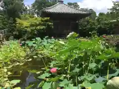 高山寺の鳥居