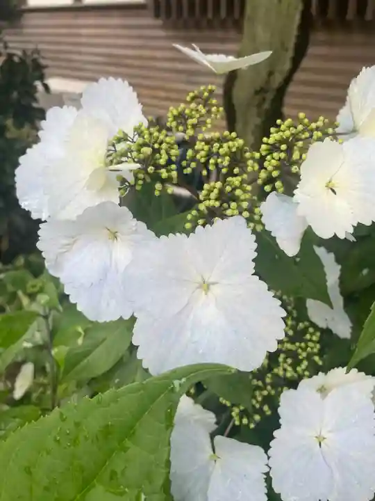 叶神社 (西叶神社)(神奈川県)
