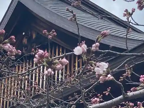 靖國神社の自然