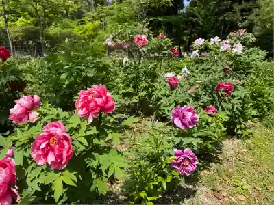 園城寺（三井寺）(滋賀県)