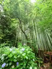 報国寺(神奈川県)